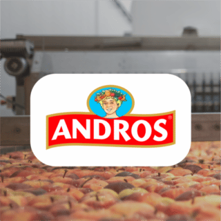 Vignette Andros